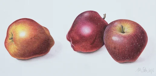 Red Apples